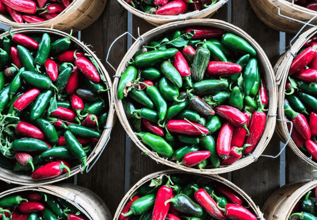 Baskets of fresh chillis at the Nahsville farmers market.